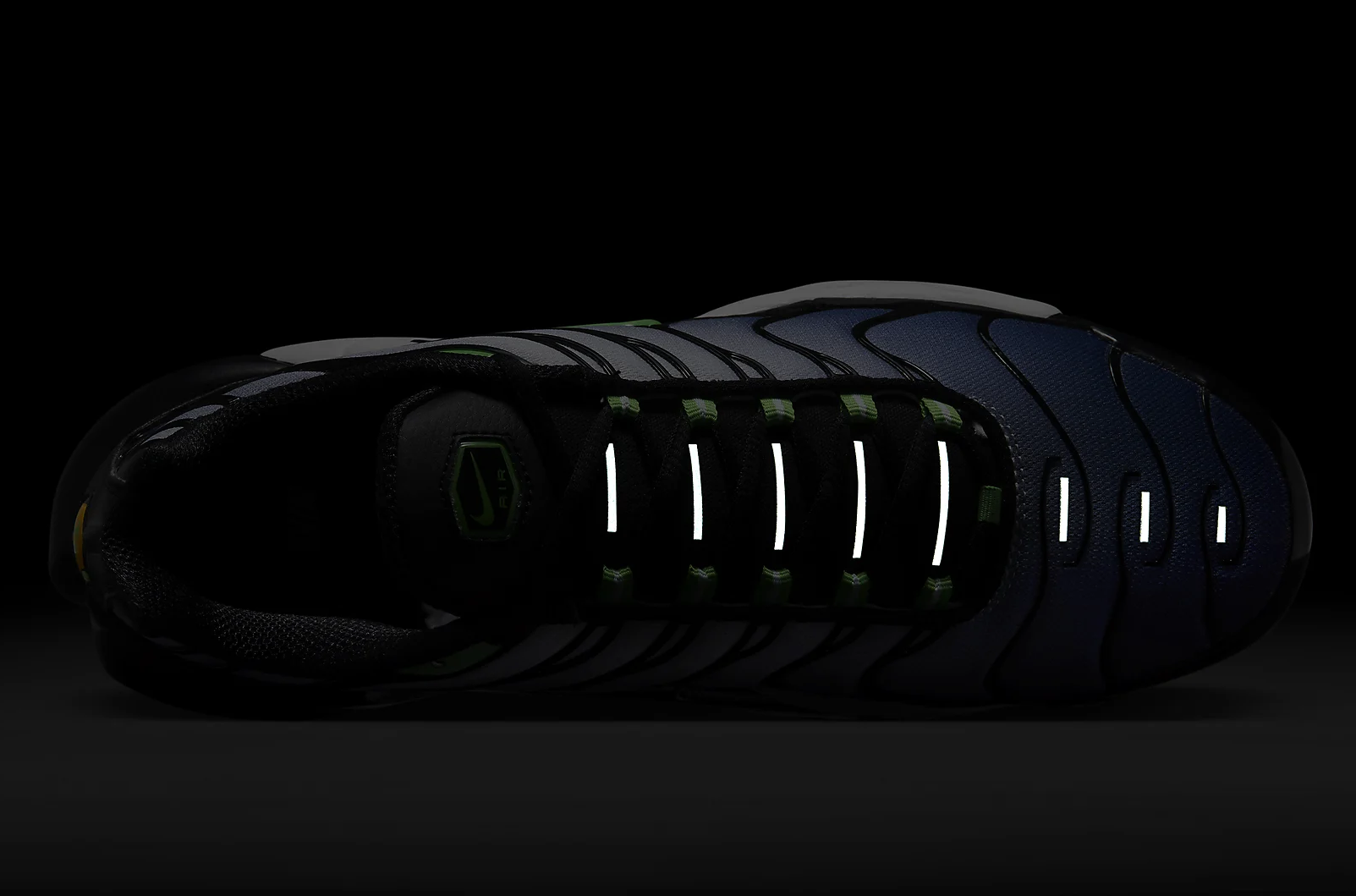 NIKE AIR MAX PLUS.